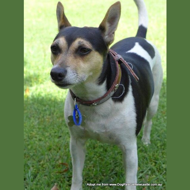 Photo of Christa (On Trial 30/12/14))