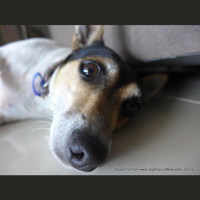 Photo of Christa (On Trial 30/12/14))