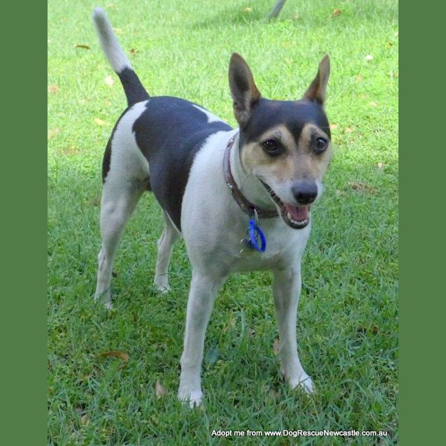 Photo of Christa (On Trial 30/12/14))