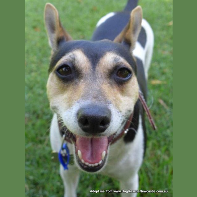 Photo of Christa (On Trial 30/12/14))