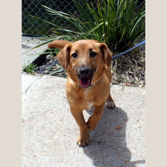 Photo of Tilly