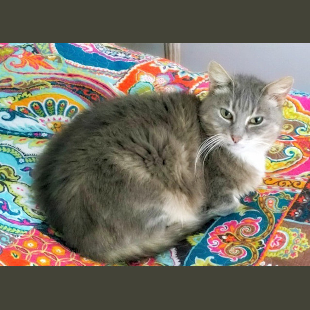 Photo of Martha   Special Needs