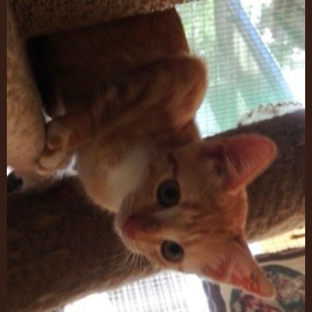Photo of Patsy