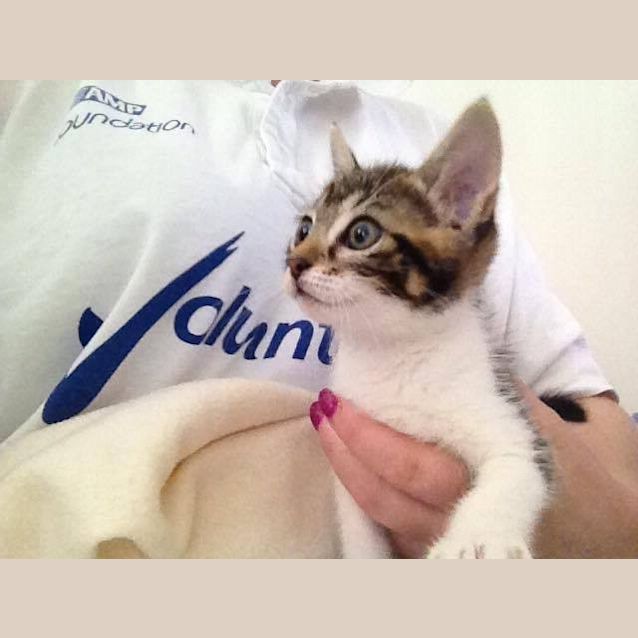 Photo of Little Lucy Dreams Of A Loving Home