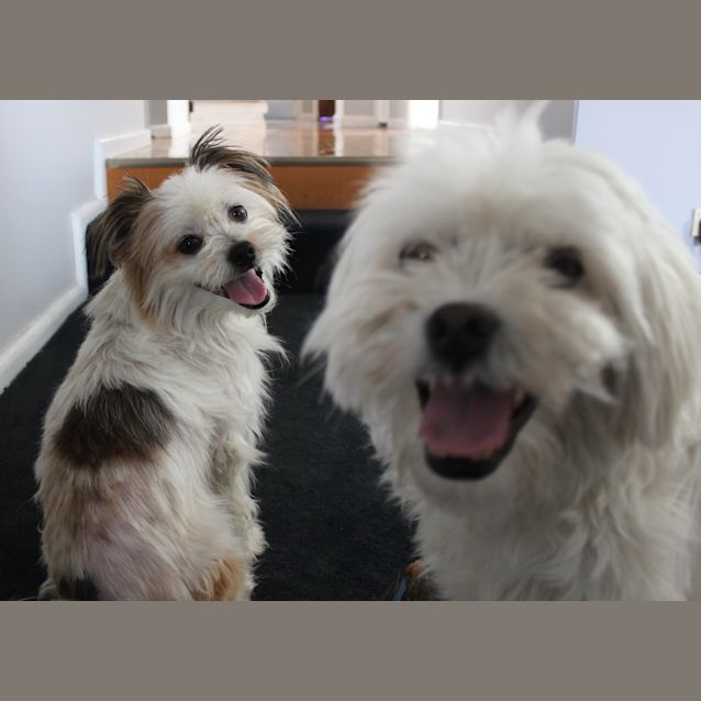 Photo of Manny K   