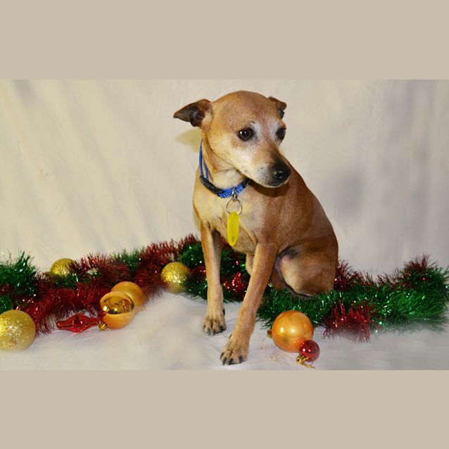 Photo of Britney Needs To Get Out Of The Pound! 