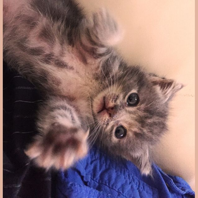 Photo of Mindi