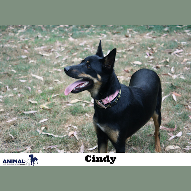 Photo of Cindy