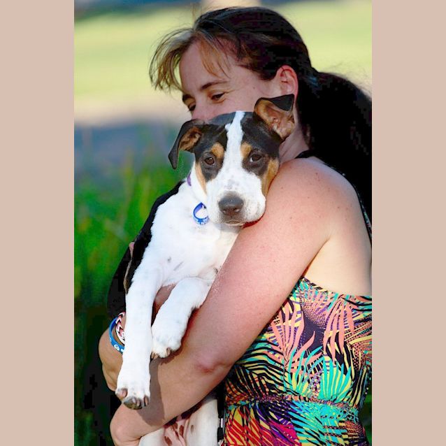 Photo of Capri ~ Rehomed 23/12/14