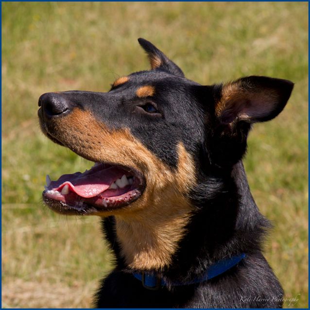Photo of Turbo
