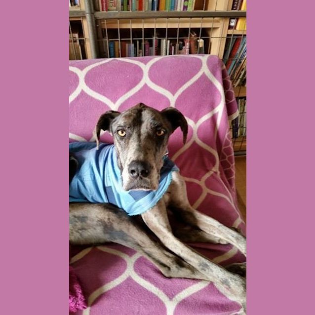 Photo of Jackson