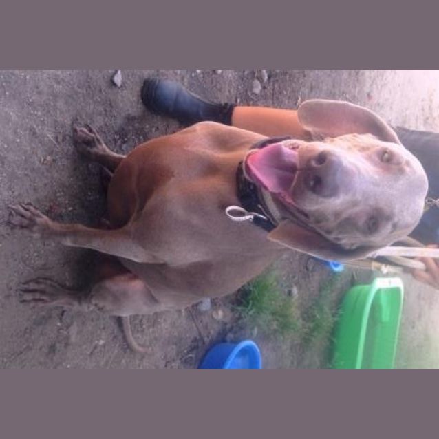 Photo of Jasper