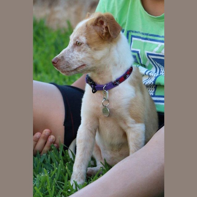 Photo of Emmie