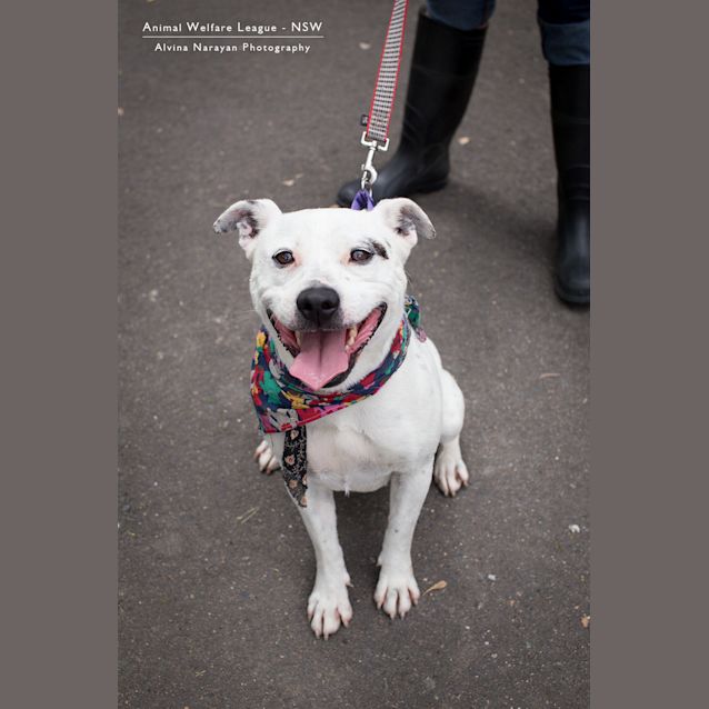 Photo of Roxy