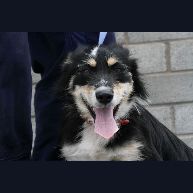Photo of Molly