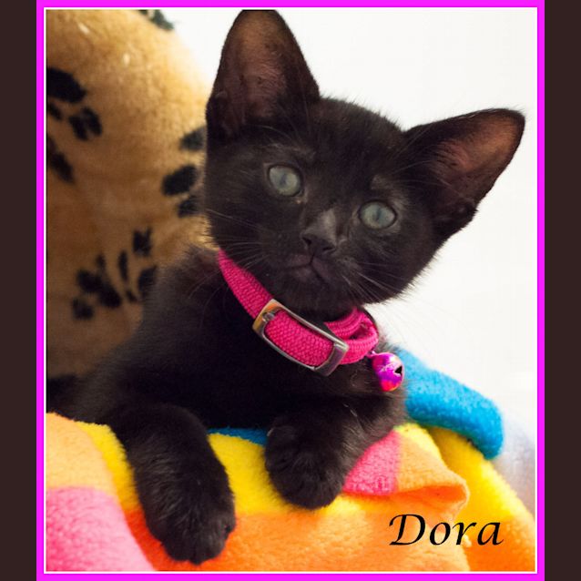 Photo of Dora