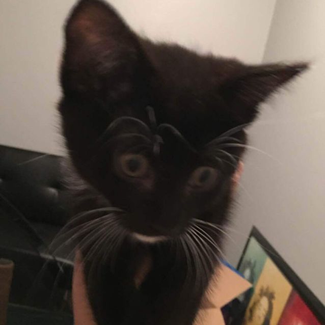 Photo of Matilda