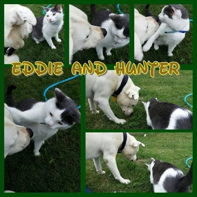 Photo of Eddie