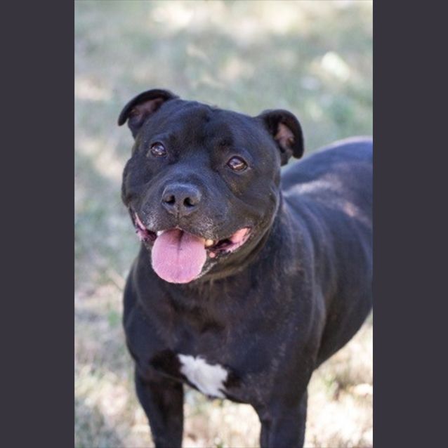 Photo of Storm