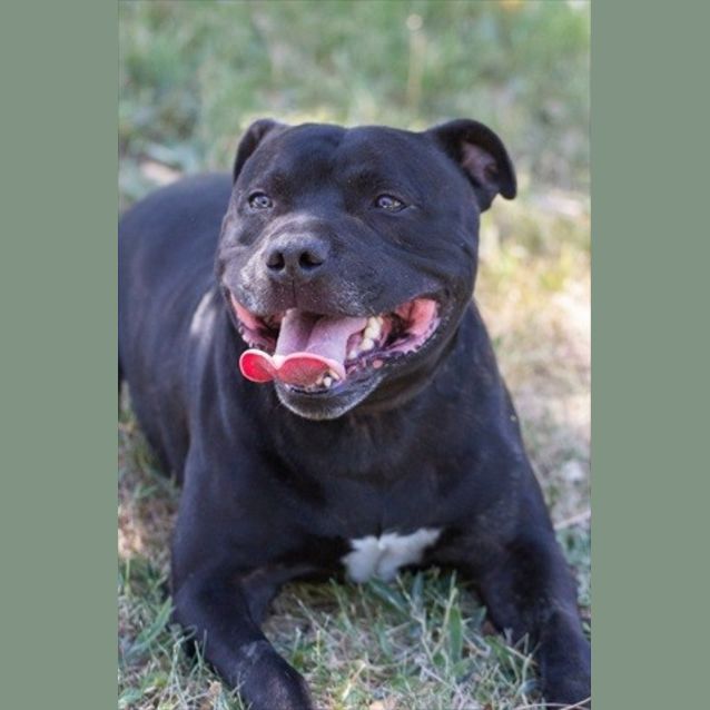 Photo of Storm