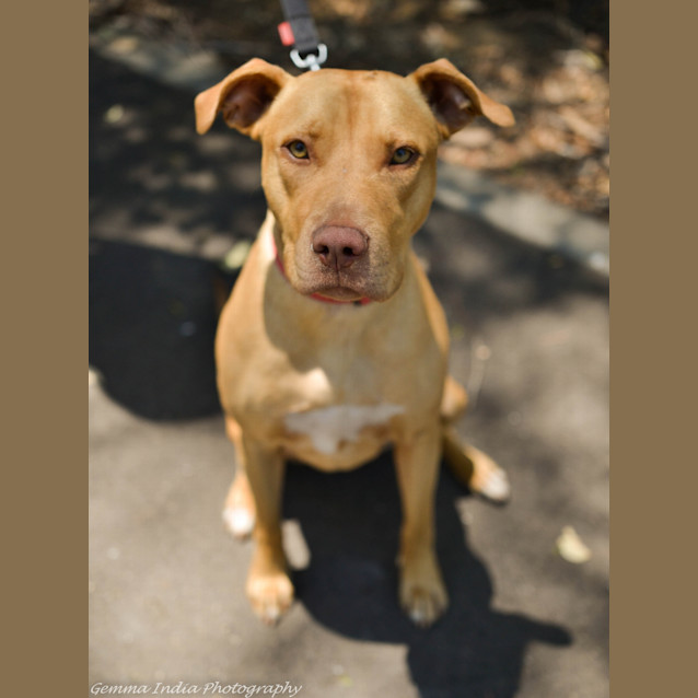 Photo of Rosie