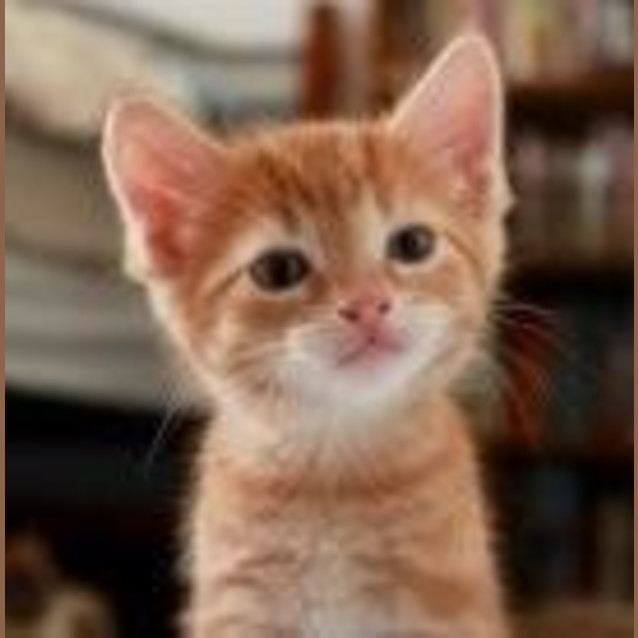 Photo of Cashew