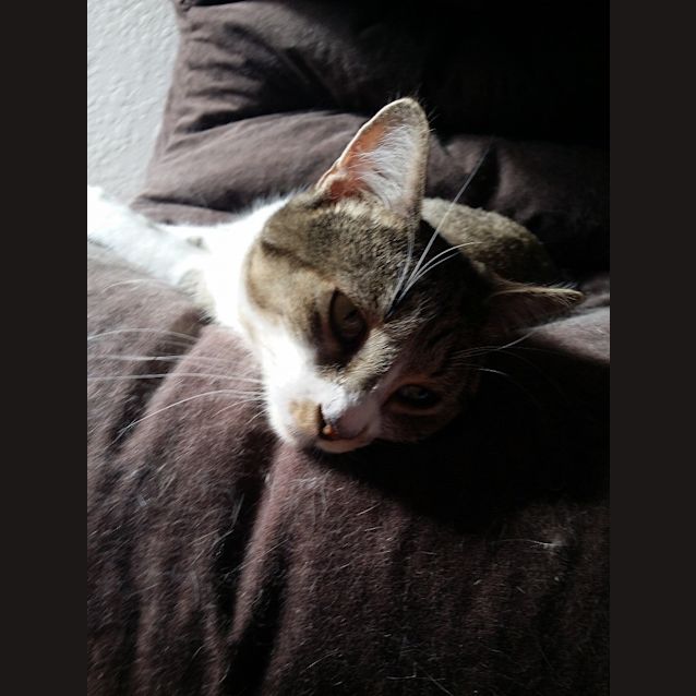 Photo of Kramer And Newman