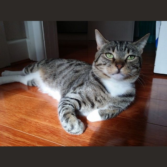 Photo of Newman And Kramer 