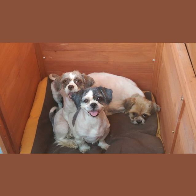 Photo of Eddie And Ollie