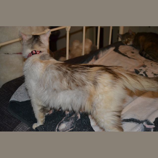 Photo of Matilda