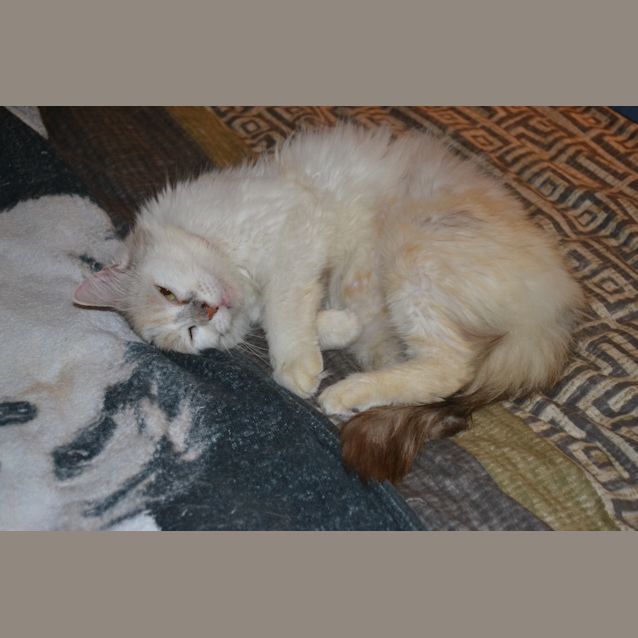 Photo of Matilda