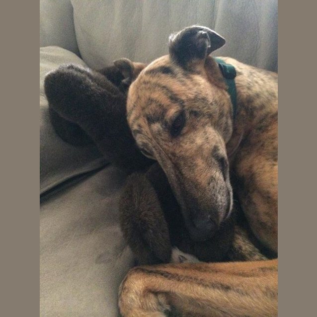 Photo of Duo   Checking Out My New Home