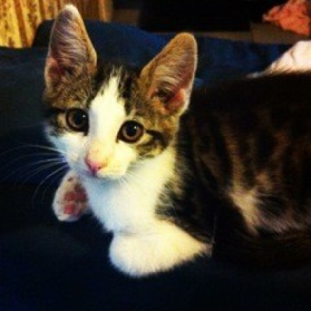 Photo of Mishka Ec0080