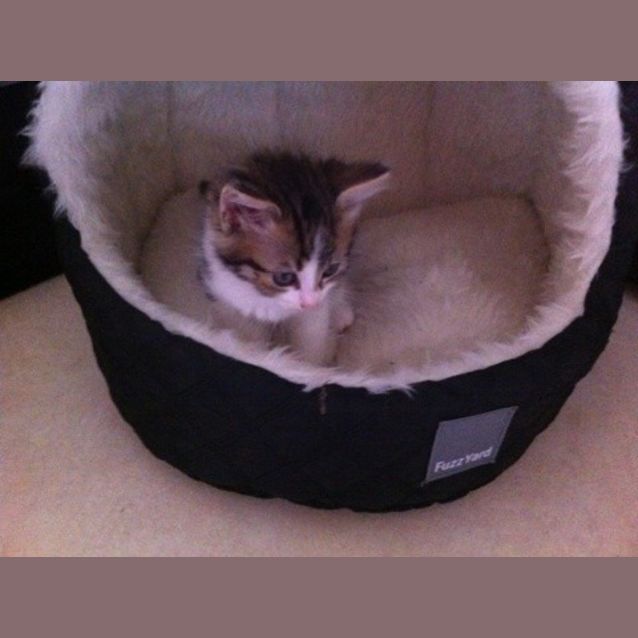 Photo of Hazel
