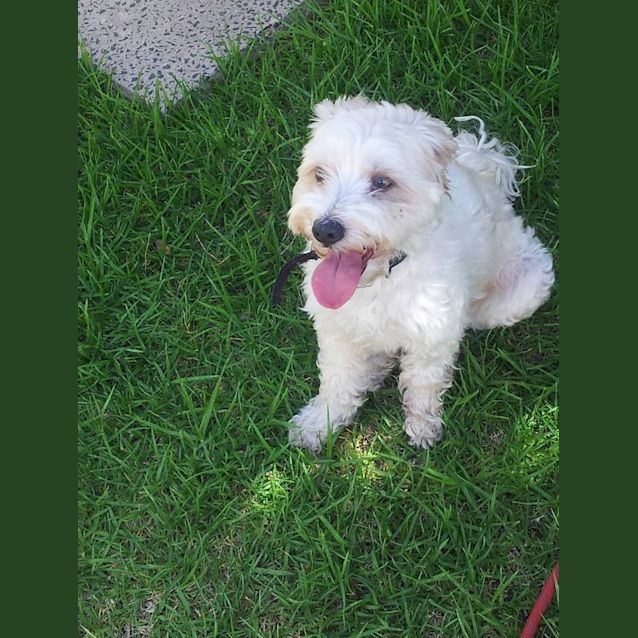 Photo of Milly 