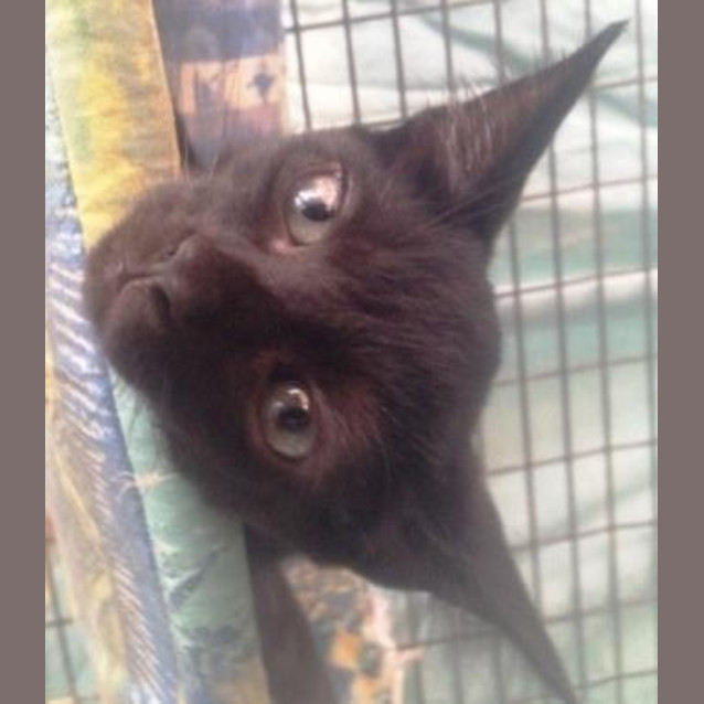 Photo of Ghost