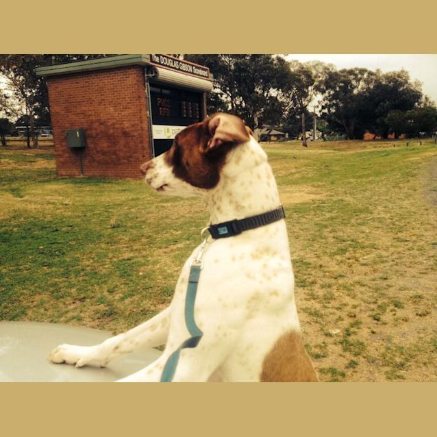Photo of Cash