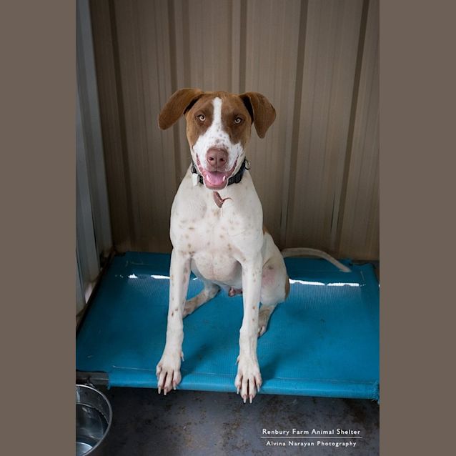 Photo of Cash