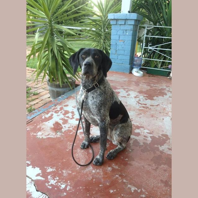 Photo of Luna