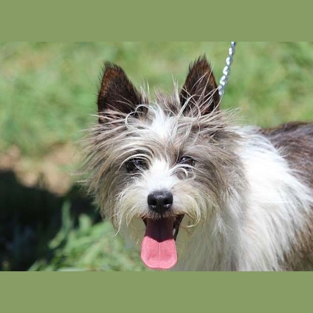 Photo of Maggie