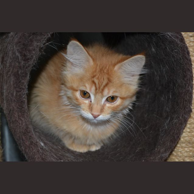 Photo of Jaffa