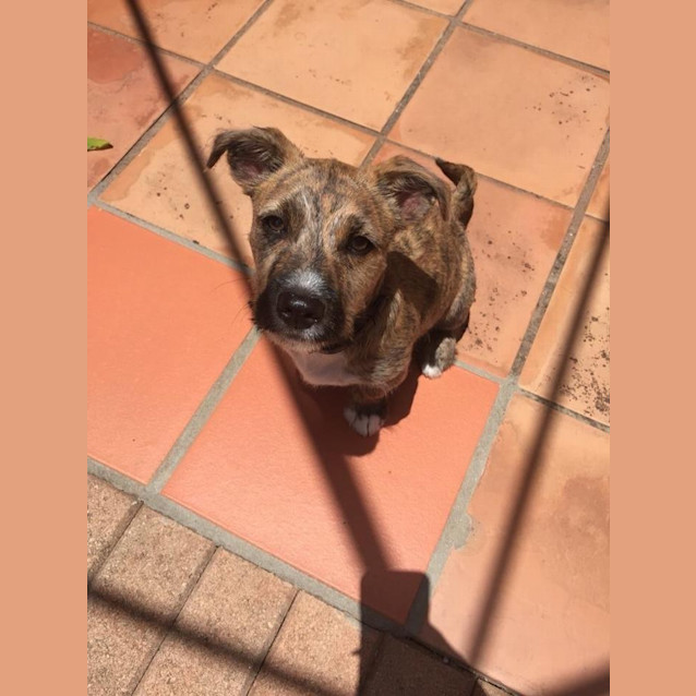 Photo of Jax