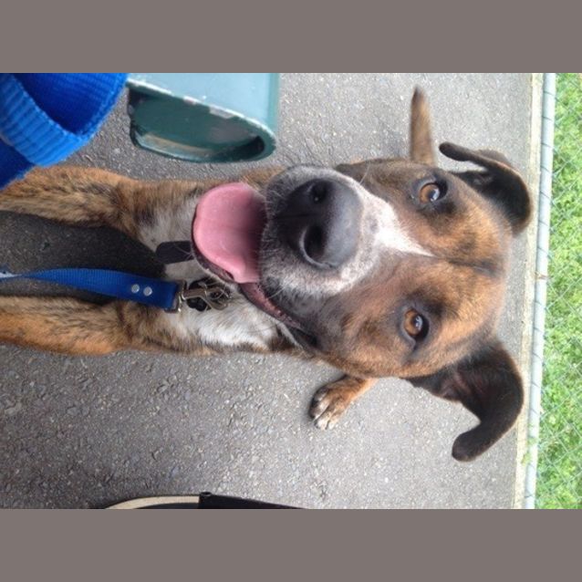 Photo of Jax