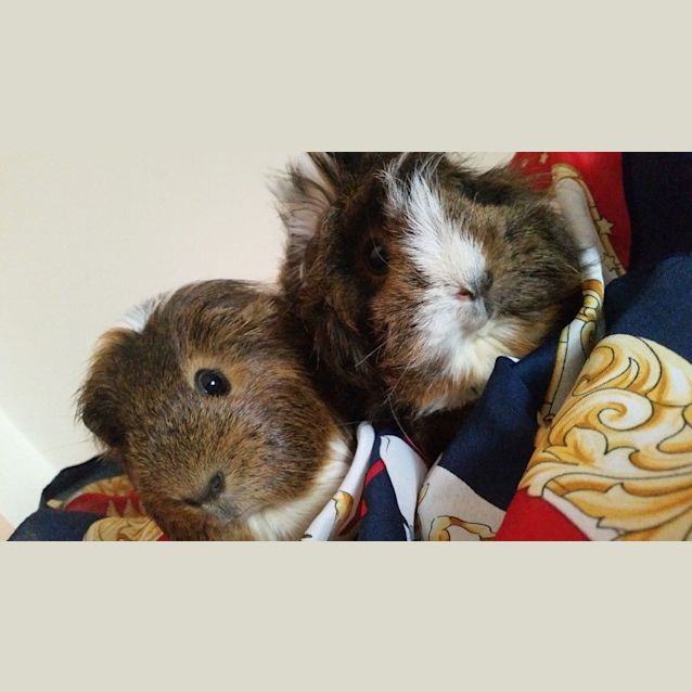 Photo of Lily And Forest