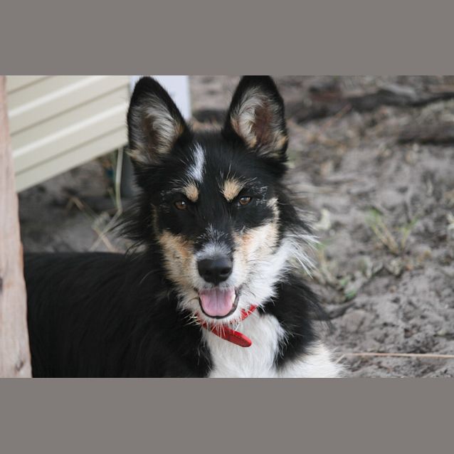 Photo of Molly