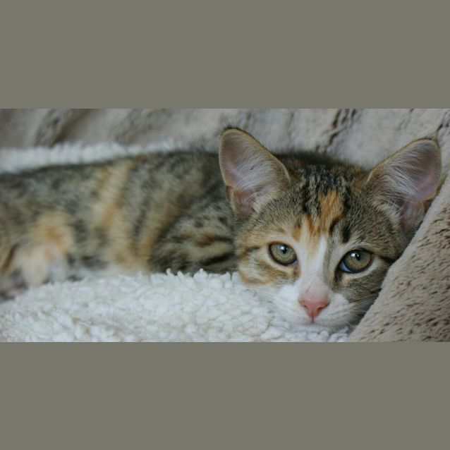 Photo of Betty Boo