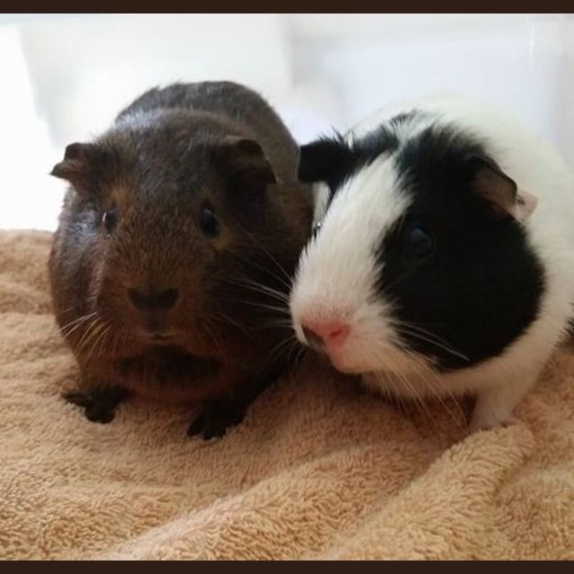 Photo of Mimi And Madeline