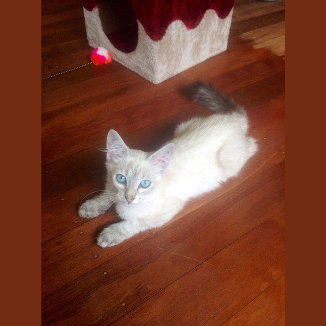 Photo of Gandalf