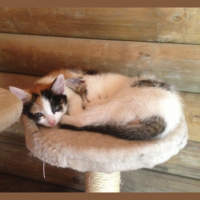 Photo of Cynthia