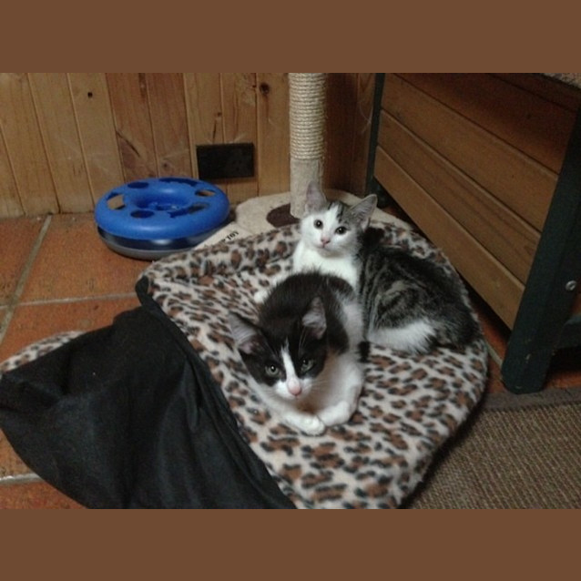 Photo of Bilbo